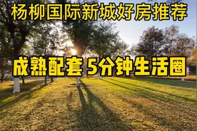 济宁买房子 哪里最便宜，杨柳国际新城视频封面