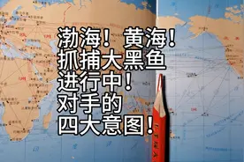 渤海！黄海！抓捕大黑鱼进行中！对手的四大意图！视频封面