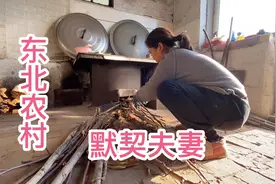 东北农村默契的50岁夫妻，早上起来谁也没说话，看看他们在干啥视频封面