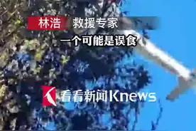 云南哀牢山4名地质人员遇难 搜救专家分析可能经历的情况视频封面
