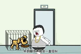 邻居不讲理楼道养狗。扰民，结局真是太意外了视频封面