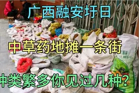 广西融安圩日中草药地摊一条街，种类成百上千，你见过几种？视频封面