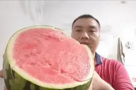 西瓜是低升糖水果吗？糖尿病人能不能吃？看这个血糖波动，有点难视频封面