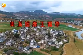 《百家碎戏》美满姻缘玉镯牵视频封面