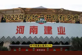 网传河南龙头房企大裁员，2022年房地产开局难视频封面