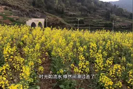 感悟篇：一壶茶，一炉香，就是禅意的全部！视频封面