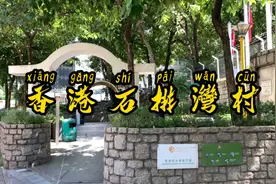 香港为什么叫“香港”？香港盛产“香”，是做供神和上供的佳品视频封面