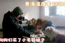 担心狗狗们的被子单薄，买了厚实的小毛毯，睡觉一定很舒服视频封面