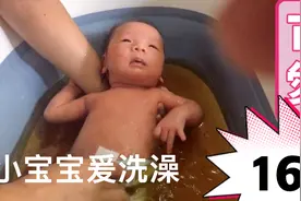 出生才16天的宝宝会认人，最爰洗澡视频封面