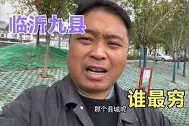 临沂九县谁最穷引发网友热议，平邑和蒙阴争锋，临沭和莒南不干了视频封面