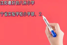 辽宁沈阳最好的八所小学排名视频封面