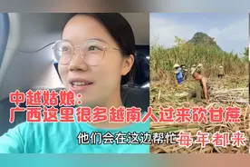 广西这里每年很多越南人过来砍甘蔗！听说一捆30斤赚1.5元视频封面