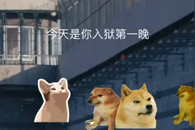 第一次做cheems小剧场，希望能火，求求了@只因团队灬副院长视频封面