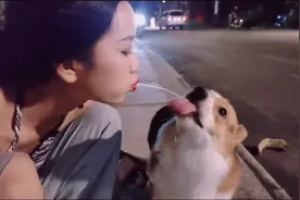 搞笑视频：美女喝醉后抱着狗狗就是一顿亲，狗的反应让网友都笑了视频封面