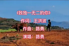 扎心现实的歌，路勇唱给迷茫、无助、失落、受伤、落泊的朋友。