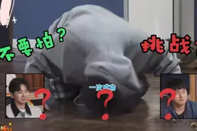 哈哈哈哈哈哈哈哈哈你们到底在干嘛视频封面