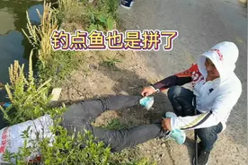 兄弟们，手臂受伤恢复中，只能钓钓鳝鱼了视频封面