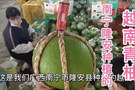 广西南宁市隆安县种植出高品质越南青柚，美味香甜多汁，吃来爽呀视频封面