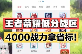 王者战力查询，一键查询全国低分段战区