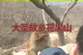 连云港花果山视频现场实拍，齐天大圣孙悟空居住地视频封面