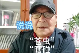 农村俗言：“杨絮落，苍虫多”。闲唠“苍虫”和“瞎碰”视频封面