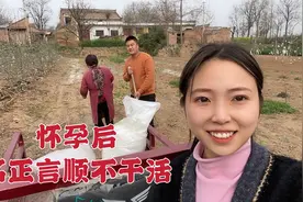 怀孕的小惠回到婆家，婆婆专门种上早玉米，说我生产前就能吃上了视频封面