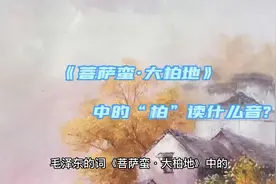 《菩萨蛮·大柏地》中的“柏”读什么音?