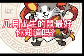 几月份出生的鼠最好？视频封面