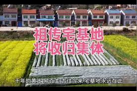 祖传宅基地不属于私有资产！宣传宅基地收归集体的口号大造声势视频封面
