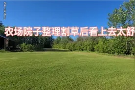 加拿大乡村生活，中外夫妻砍树割草整理院子后，看上去真舒服！视频封面