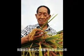 袁隆平励志故事视频封面