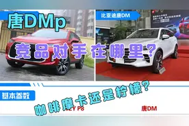 柠檬摩卡对唐DMp～你争取不停产，我看看保养手册视频封面