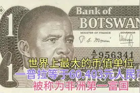 世界上最大的币值单位 一普拉等于9.41美元 被称为非洲第一富国视频封面