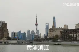 黄浦杨浦滨江视频封面