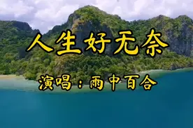 一首雨中百合演唱的《人生好无奈》辛苦一辈子来去不自由视频封面