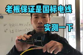 10平方铜线16平方铝线老板保证是国标，实测一下看谁在说谎视频封面
