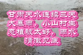 甘肃天水连续三天大暴雨，小山村生态植被太好了，雨水清澈见底！视频封面