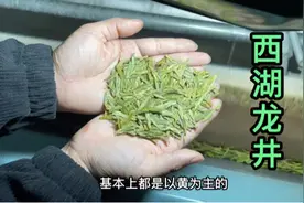 西湖龙井假冒的太多了，买前一定要认准这两样，避免踩坑视频封面