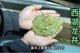 西湖龙井假冒的太多了，买前一定要认准这两样，避免踩坑视频封面