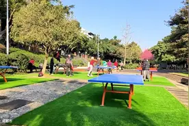 北方人在成都，今天你晒太阳了吗？连续的阴雨天，今天居然出太阳视频封面