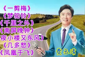 费玉清精选《一剪梅》《梦驼铃》《南屏晚钟》《凤凰于飞》几多愁视频封面