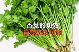 我们平时吃的香菜有什么功效呢？知道了竟然这么可怕😱视频封面