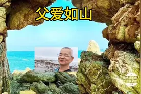 父爱如山也如海视频封面