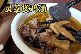 灵芝煲鸡汤，孩子吃了可以增加抵抗力和免疫力，做法简单又美味。