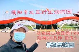 带你逛濮阳野生动物园 占地1200亩投资2.6亿 60多种动物 随我进园视频封面