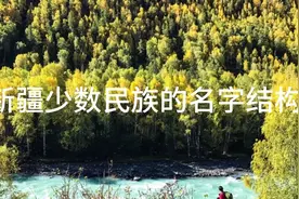 新疆少数民族的姓名结构，你会认吗？视频封面
