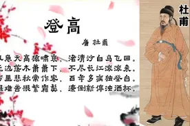朗诵杜甫《登高》无边落木萧萧下不尽长江滚滚来视频封面