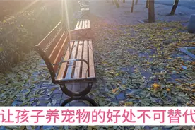 让孩子养宠物的好处不可替代，尤其培养孩子成就感太重要。视频封面