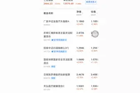 基金怎么样查询当天的涨跌情况？视频封面