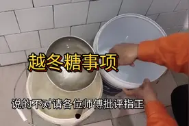 蜜蜂越冬糖怎样喂？喂多少？为啥有的强群整蜜脾越冬会出现死亡？视频封面
